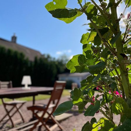 La Fedrie Bed & Breakfast La Croix-en-Touraine Екстериор снимка