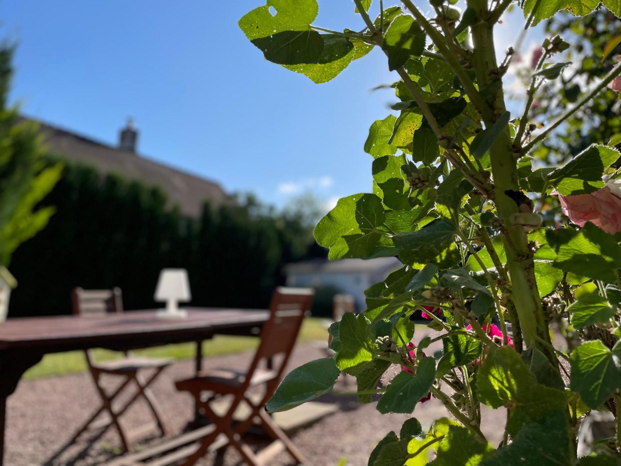 La Fedrie Bed & Breakfast La Croix-en-Touraine Екстериор снимка